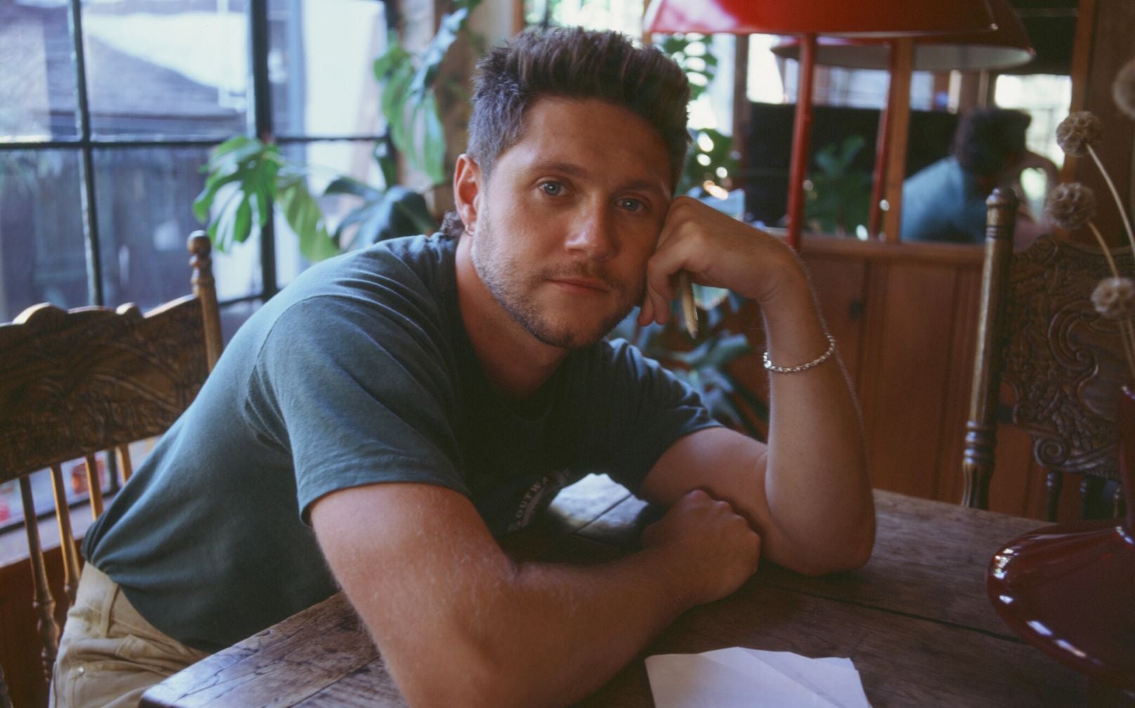 More Info for Niall Horan